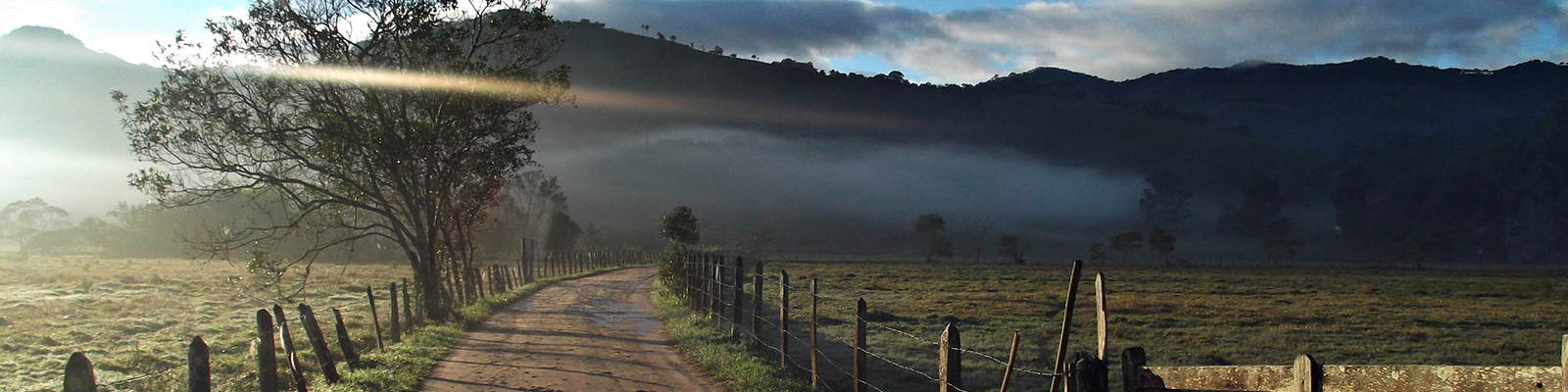 Photo from the First Photography Contest – PPGADR – Your Look on the Environment. Country paths. Ednilson M. de Lima e Silva. Dirt road. On the sides, wooden-and-wire fences. A gate on the right side and a few trees on the left. In the background, fog and a hill.